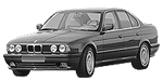 BMW E34 P1EEC Fault Code